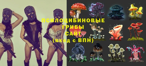 эйфоретик Куйбышев