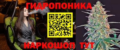 гидропоника Аргун