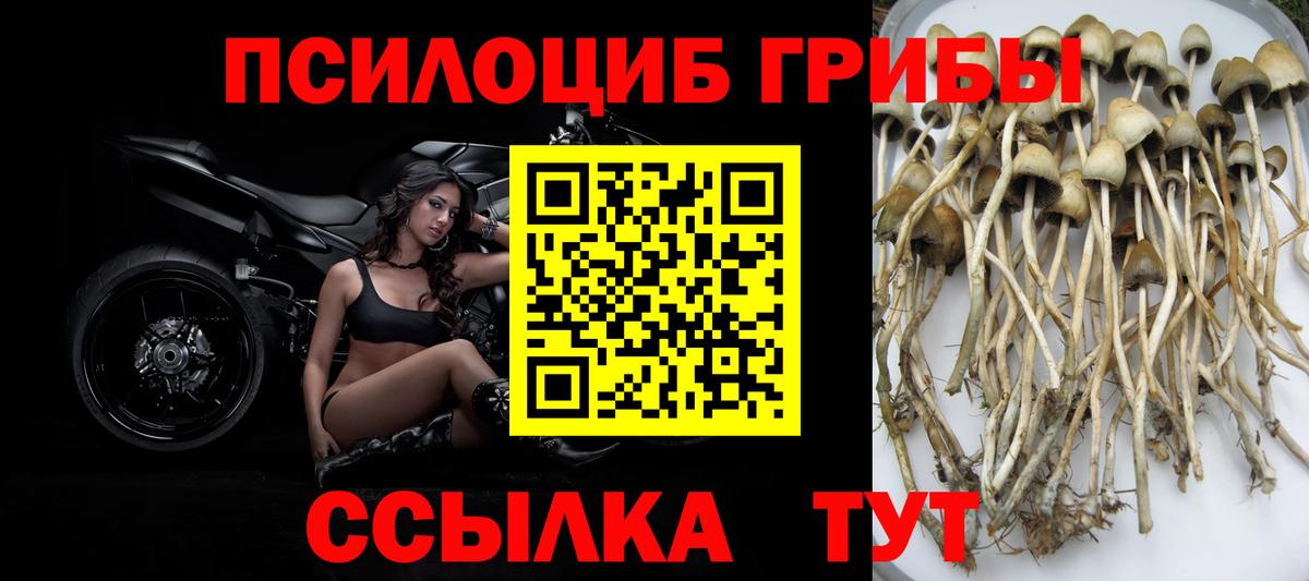 Ханты-Мансийск  Псилоцибиновые грибы мухоморы  Галлюциногенные грибы ЛСД  Вход с VPN 