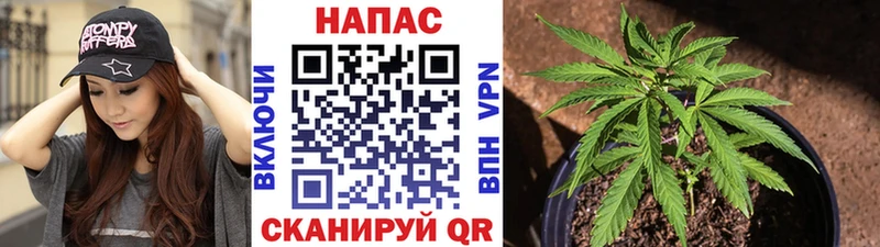 даркнет клад  Ханты-Мансийск  Бошки марихуана индика 